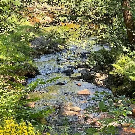 Zimmermanns Zuhause In Διαμέρισμα Altenau (Lower-Saxony)
